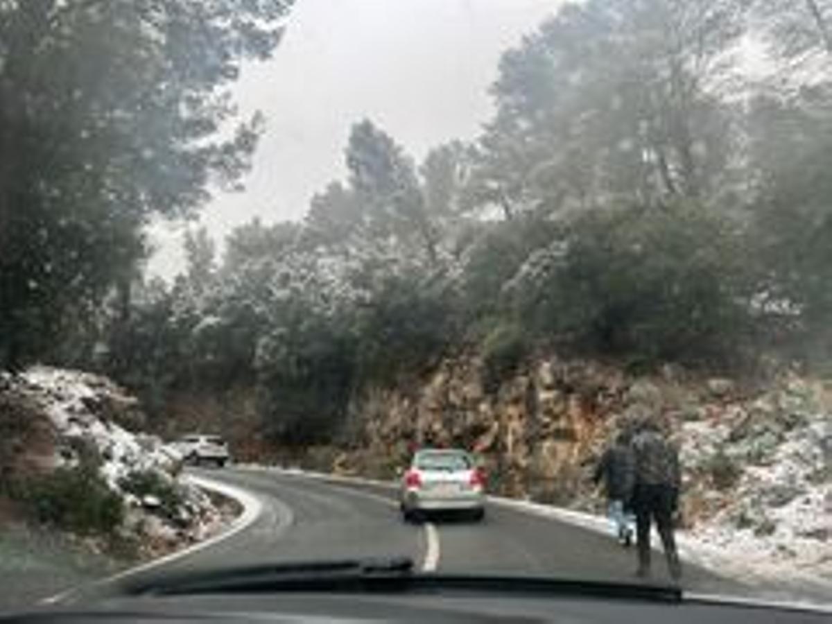 Las fotos de la nieve en Mallorca de nuestros lectores
