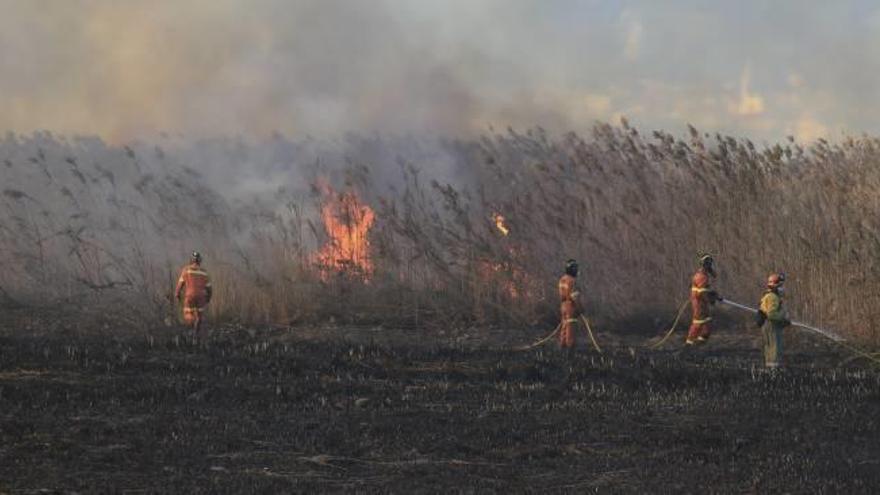 Una negligencia causó el fuego que arrasó 90 hectáreas de marjal