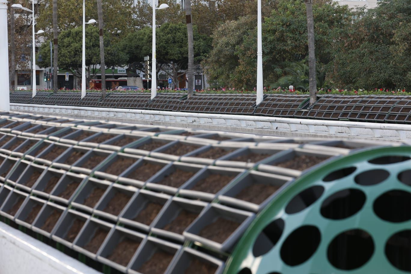 Comienzan a replantar el Puente de las Flores