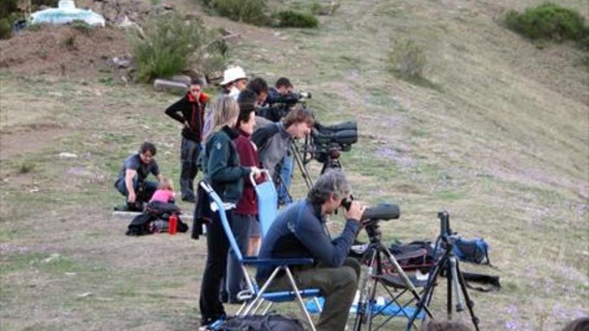 Silenciosos 'paparazis' naturalistas esperan en La Peral, cual pescador tras lanzar la caña, a que aparezca el oso. La Fundación Oso Pardo orienta al visitante para que experimente el privilegio de contemplar