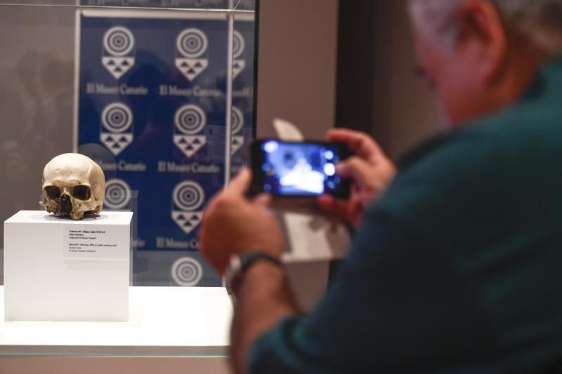 GENTE Y CULTURA  03-12-2018 LAS PALMAS DE GRAN CANARIA. Reconstrucción de una aborigen del siglo VI. La conservadora del Museo Canario, Teresa Delgado, y el director de la empresa de arqueología Tibicena, muestran la reconstrucción del rostro de una aborigen del siglo VI ..  FOTOS: JUAN CASTRO  | 03/12/2018 | Fotógrafo: Juan Carlos Castro