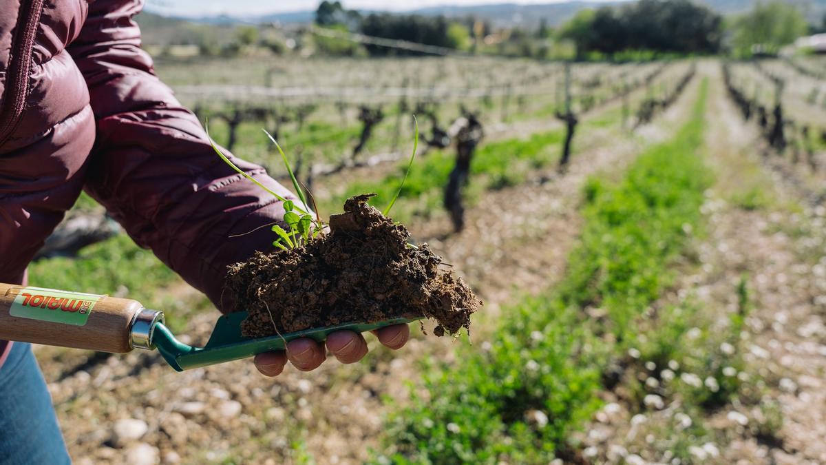 El Ayuntamiento de La Laguna refuerza su apuesta por la agroecología a través de COAG-Canarias