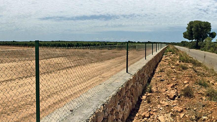 Imagen del viñedo, y terreno en preparación, de la finca de sa Bassa Plana captada ayer al mediodía.
