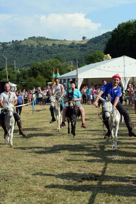 "Burrocross" en las fiestas de San Tirso