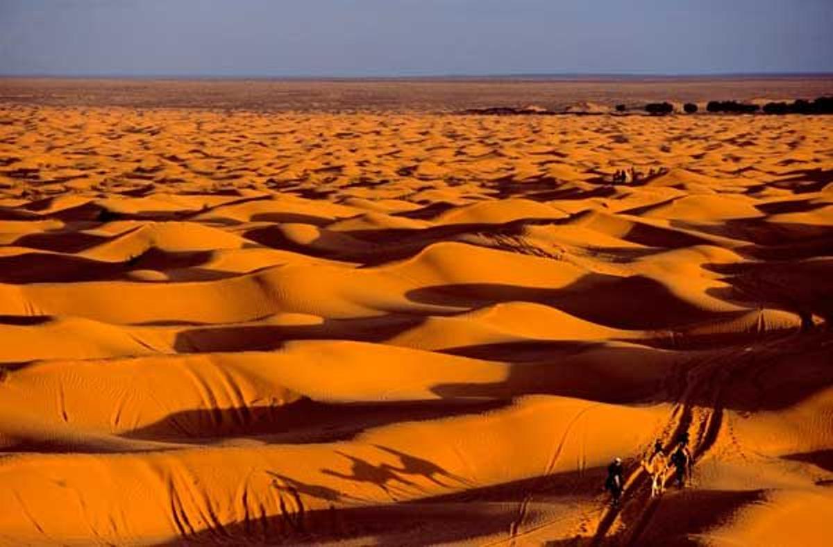 Viaje en dromedario por el desierto de Túnez.