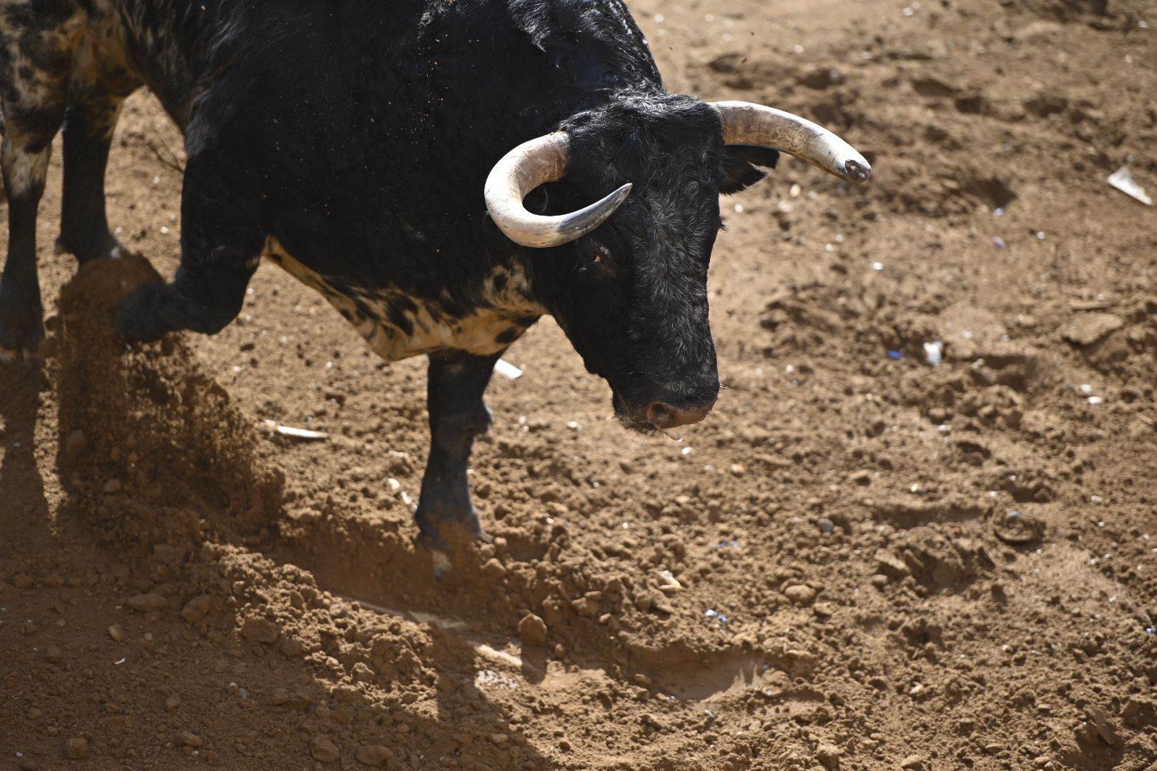 Galería | Primera tarde de toros en Almassora