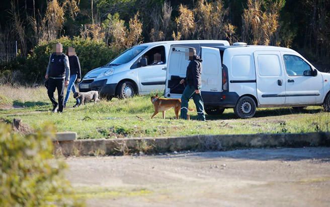 Spürhunde aus Madrid suchen verschwundenen 26-Jährigen