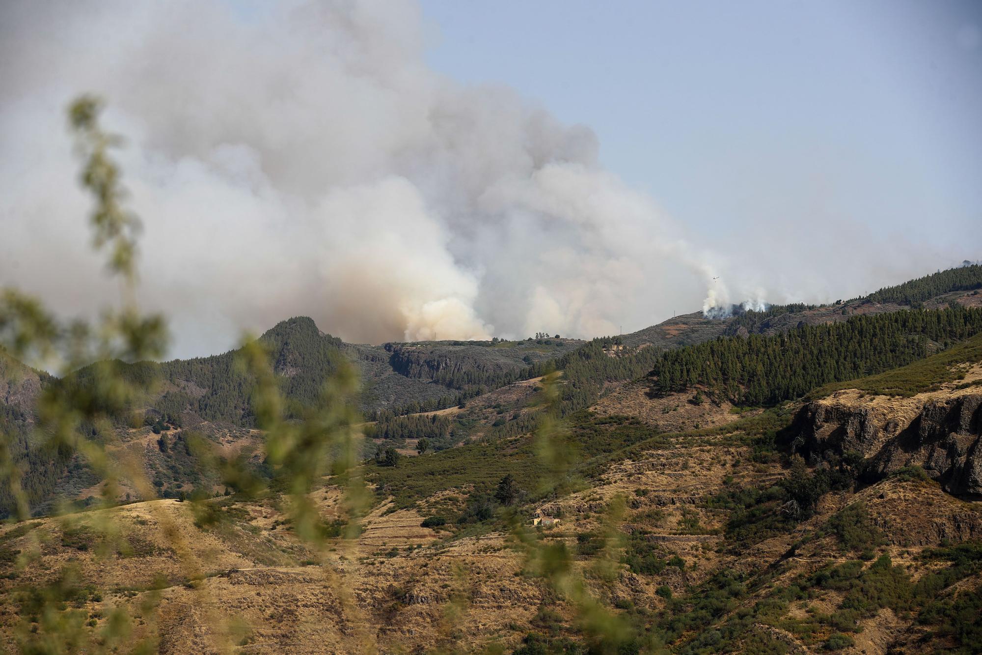 Incendio en la Cumbre de Gran Canaria