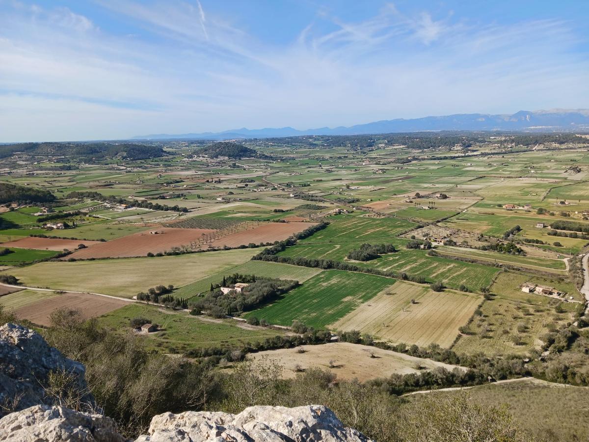 Fotografía aérea de fincas rústicas en el centro de Mallorca.