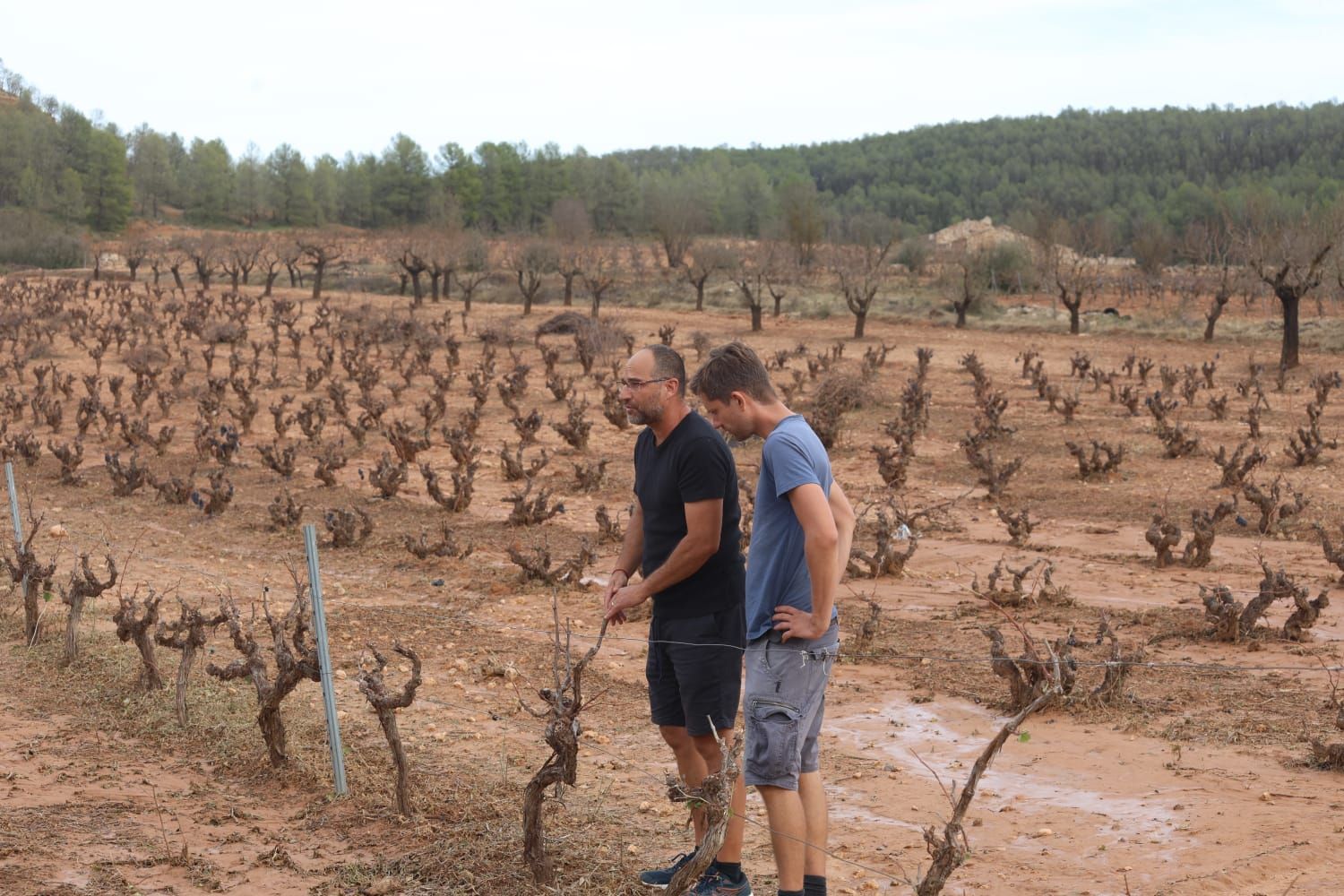 Las consecuencias del temporal de granizo que azotó ayer Requena