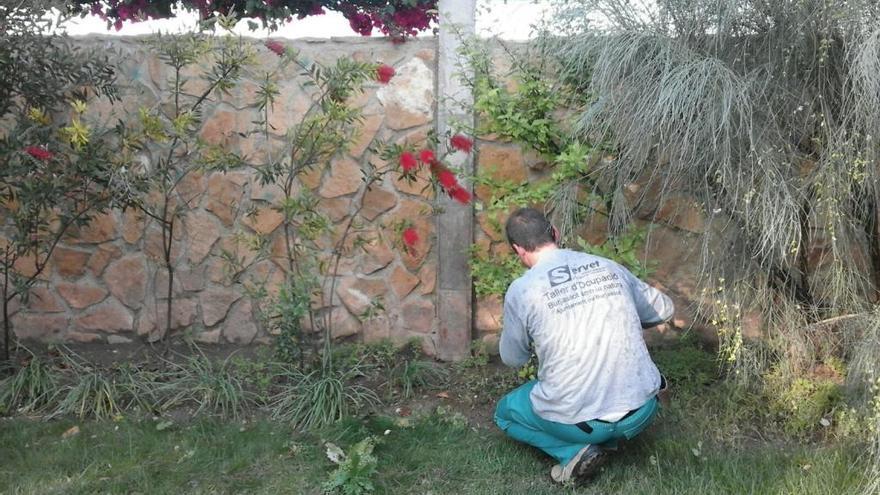 &quot;Burjassot amb la Natura&quot; mejora la cara del municipio