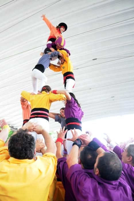 Castellers del Bages