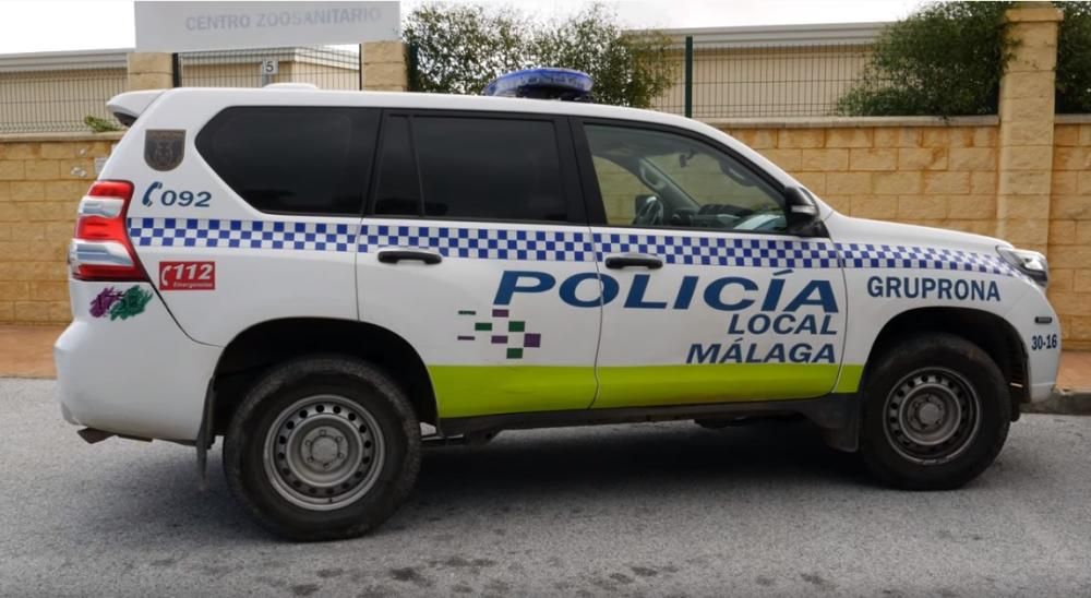 Perros intervenidos por el GRUPONA de la Policía Local de Málaga.