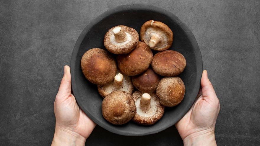 El exconcejal de Plasencia Francisco Barbancho presenta un libro sobre las mejores setas comestibles