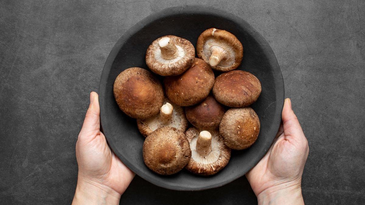 El exconcejal Francisco Barbancho presenta un libro en Plasencia sobre las mejores setas comestibles.