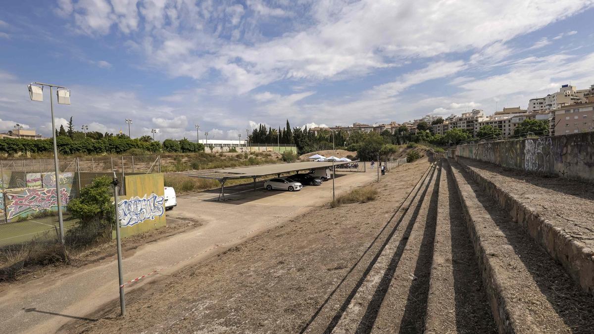El antiguo velódromo de El Tirador será un bosque urbano.