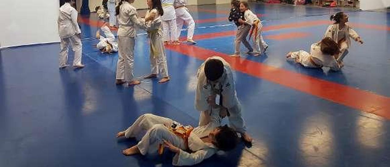 Varios pequeños judokas, durante un entrenamiento.