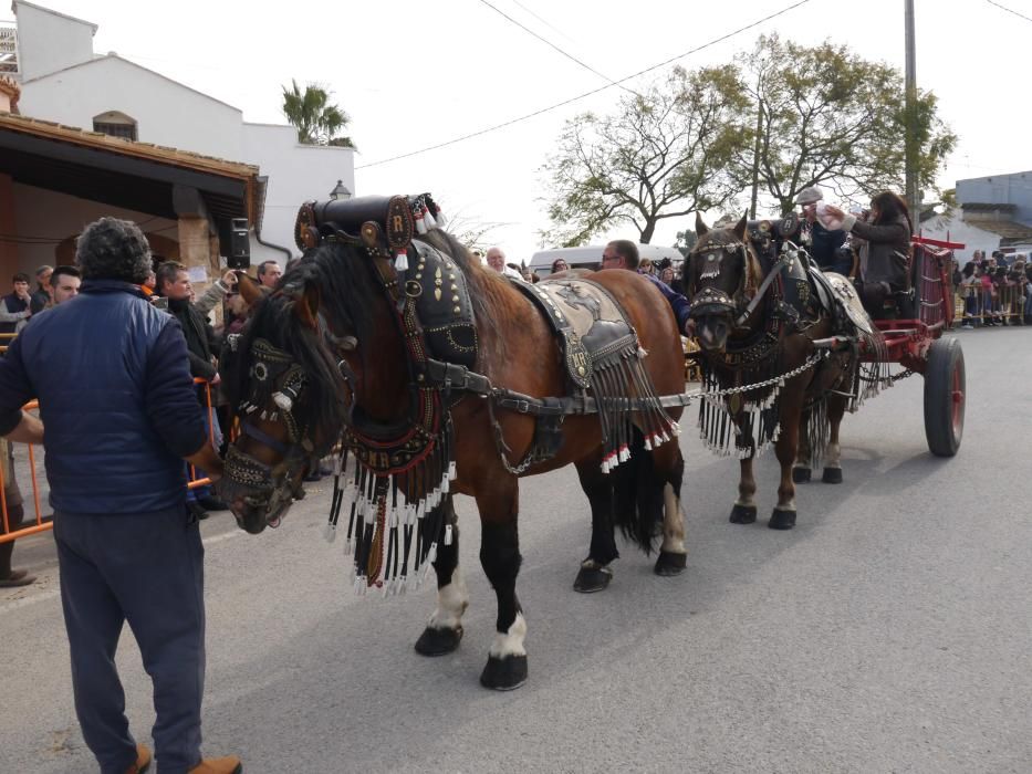 Fiesta de Sant Antoni Abad de Vera