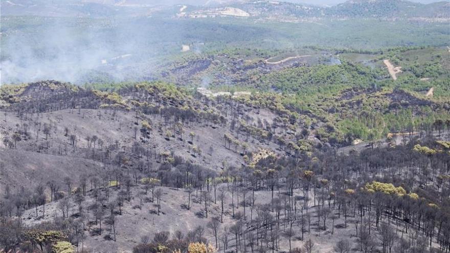 Declarado un incendio en Hinojos, en el entorno de Doñana