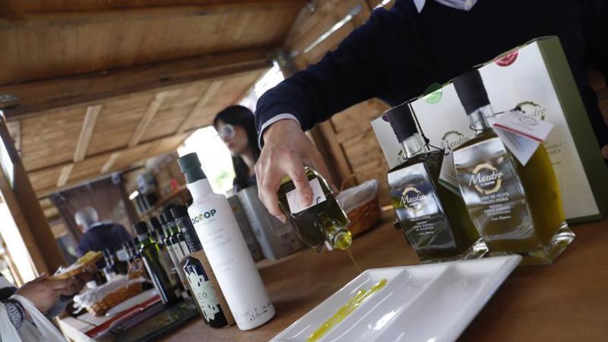 El Festival Córdoba Virgen Extra llena Las Tendillas de aceite y gastronomía