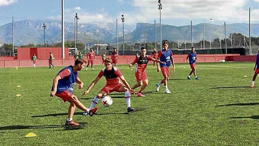 El Mallorca ayer, entrenando en Son Bibiloni.