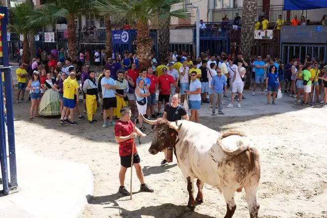 La 'cagà' (o no) del manso en las fiestas del Grau de Castelló