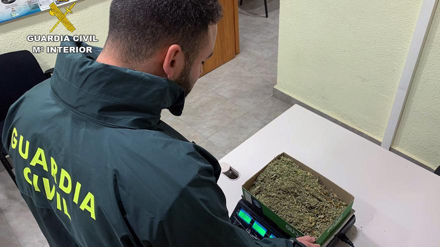 Cuatro detenidos por cultivar marihuana en Bullas: los pillaron desmontando el invernadero