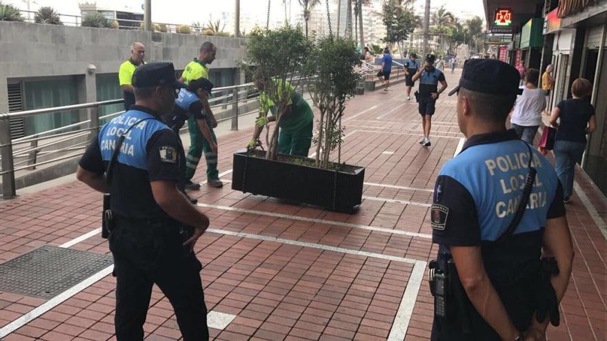 Colocación de maceteros como medida de seguridad en la capital grancanaria