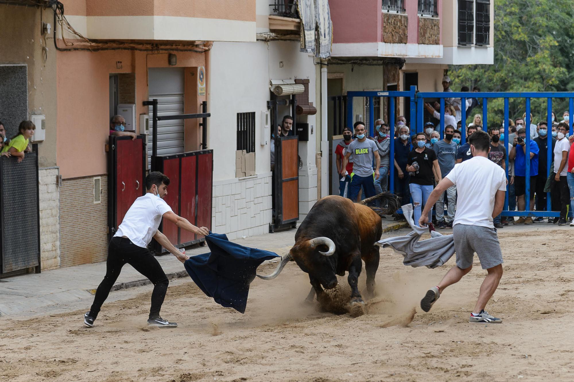 Primera jornada taurina de la Vall desde el 2019