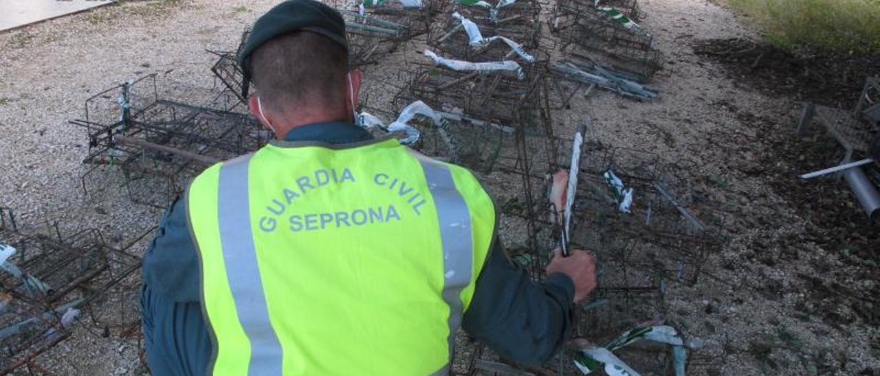 Las jaulas-trampa incautadas por el Seprona. | LEVANTE-EMV