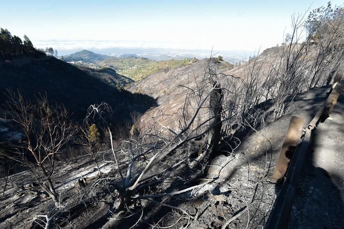 20-08-2019 VALLESECO. Zonas quemadas por el incendio, en el Cruce de Arinez. Fotógrafo: ANDRES CRUZ  | 20/08/2019 | Fotógrafo: Andrés Cruz