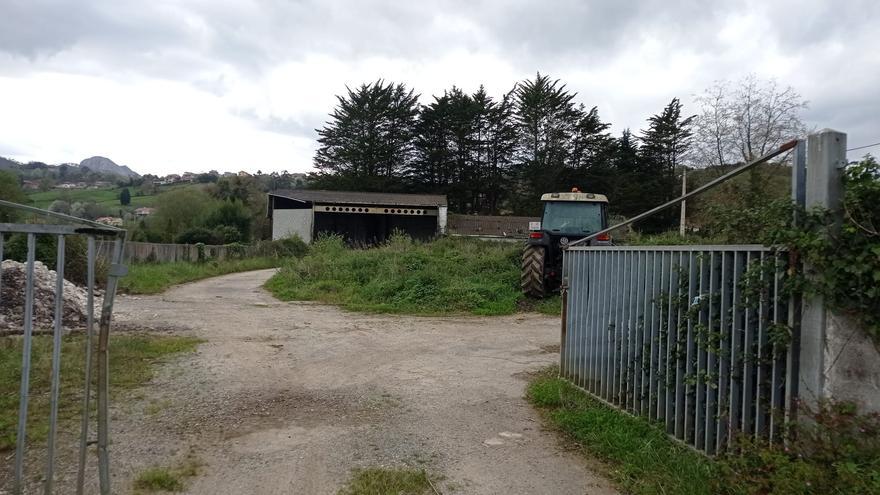 Luz verde a la demolición de los edificios en ruinas de la marisma de Ribadesella: &quot;Dañan la imagen del paisaje&quot;