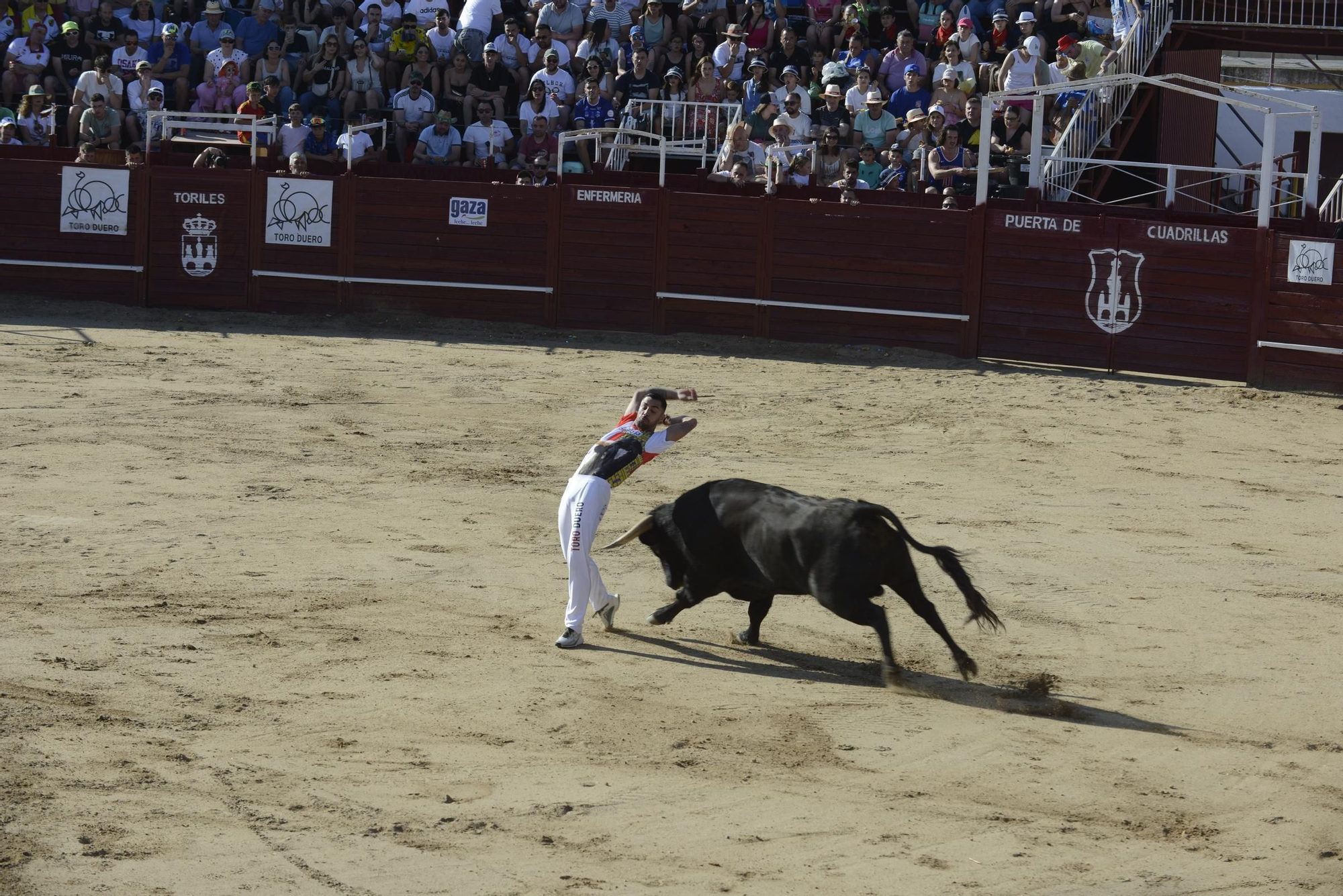 GALERÍA | Unos cuantos cortes de los arriesgados en Benavente