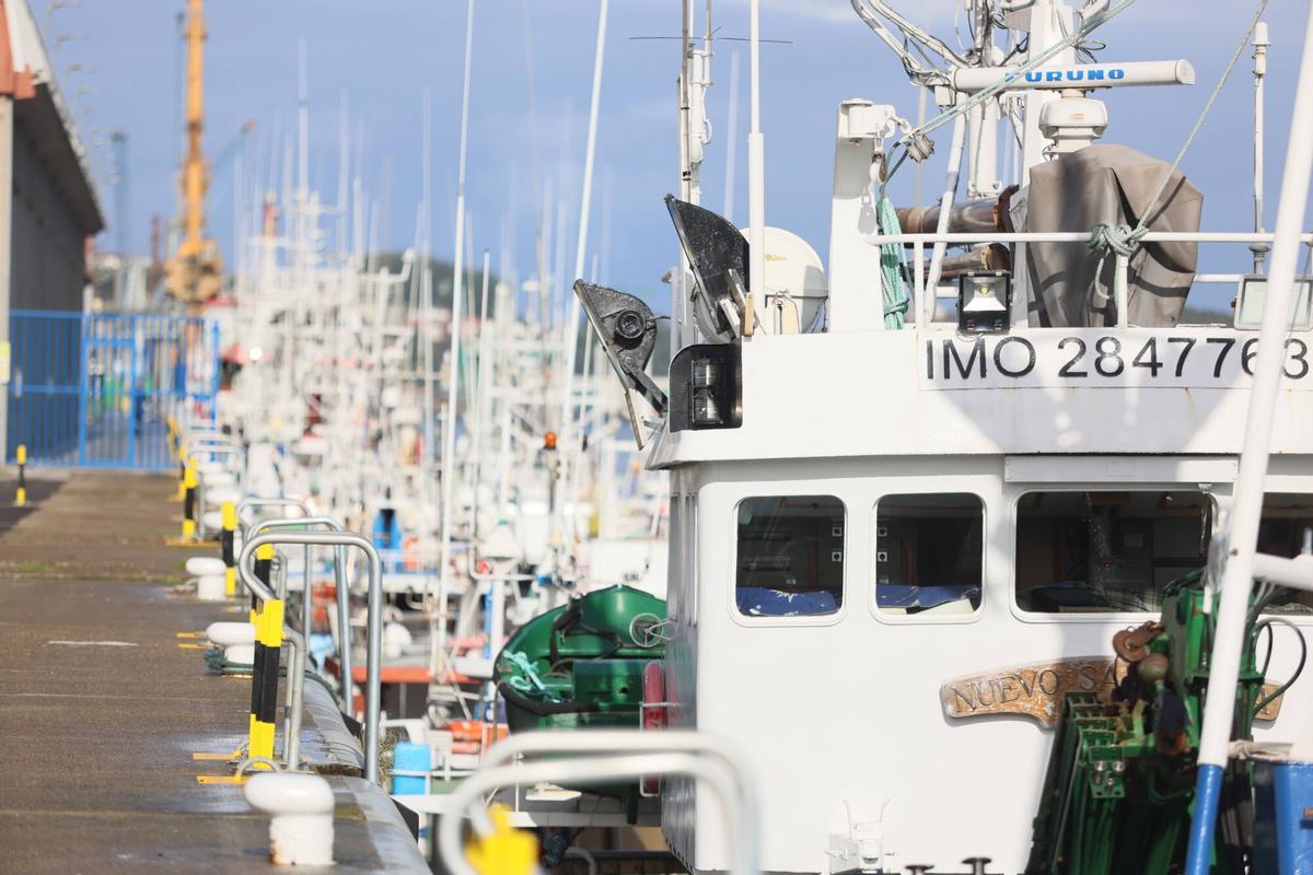 La flota amarrada en la ría de Avilés