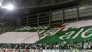 El Betis activa el abono digital para entrar a los partidos de La Cartuja