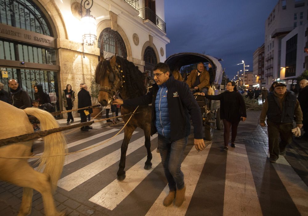 Sant Antoni arranca en Sagunt con la tradicional Plantà del Pi