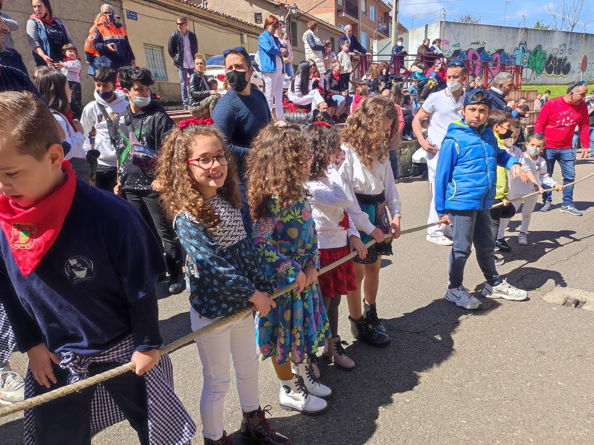 Imperioso, el carretón gigante de la Escuelas Taurinas de Benavente