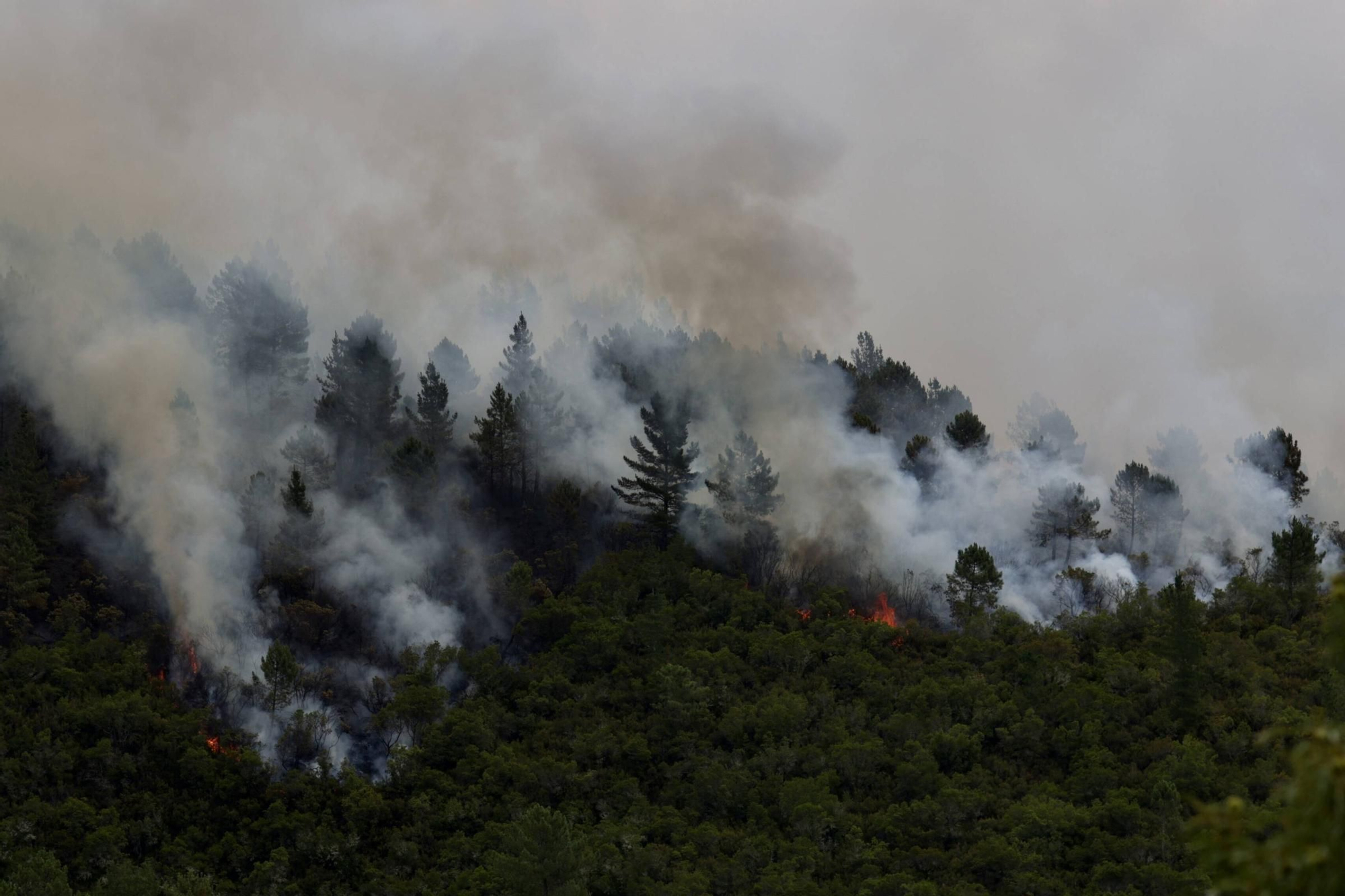 EN IMÁGENES: La evolución del incendio de Ibias