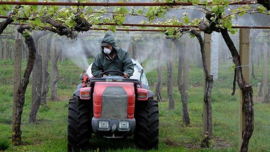 Un agricultor realiza tareas de sulfatado.