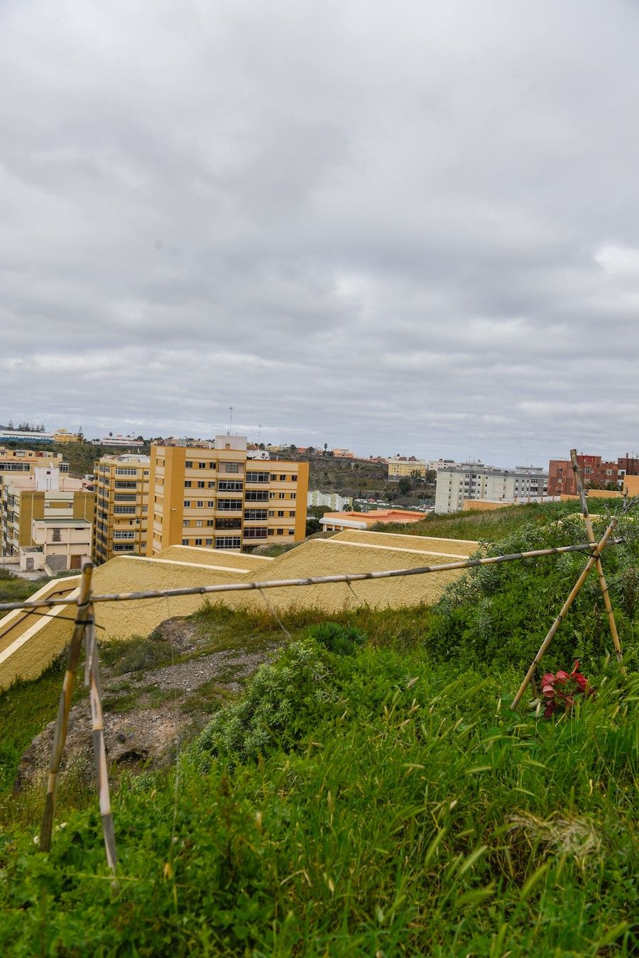 Meteorología en Las Palmas de Gran Canaria y Santa Brígida el 3 de febrero de 2021