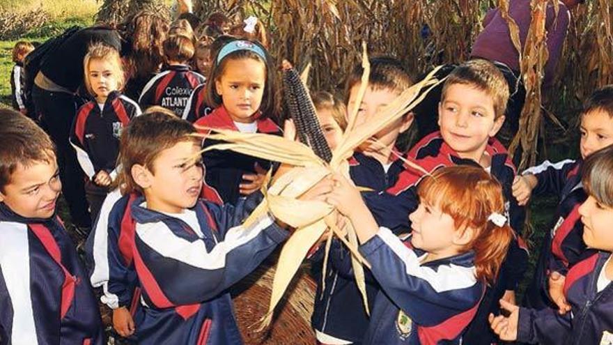 Os rapaces quedaron sorprendidos pola intensa cor negra do gran do millo corvo.  // G,Núñez