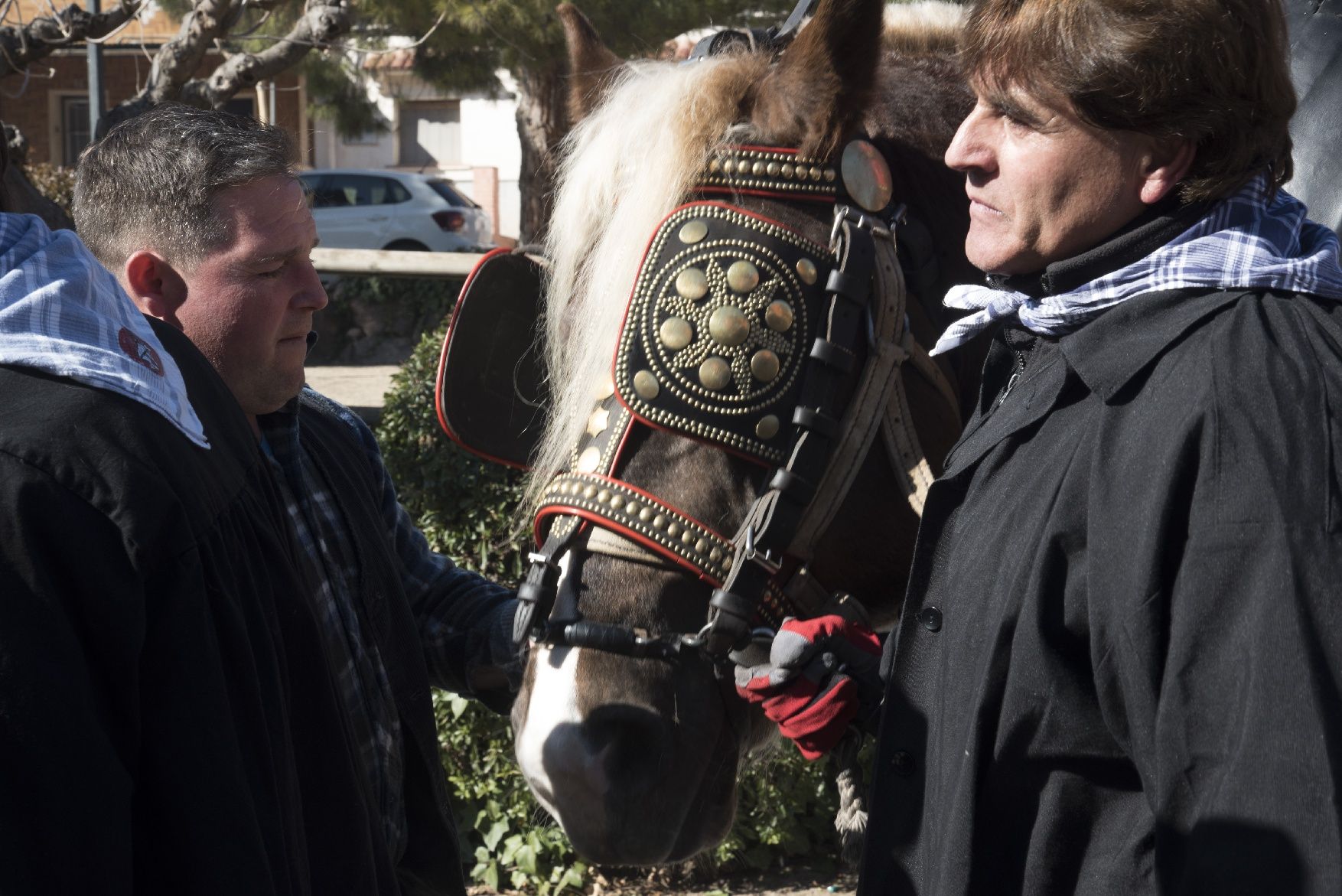 Les millors imatges dels Traginers de Balsareny