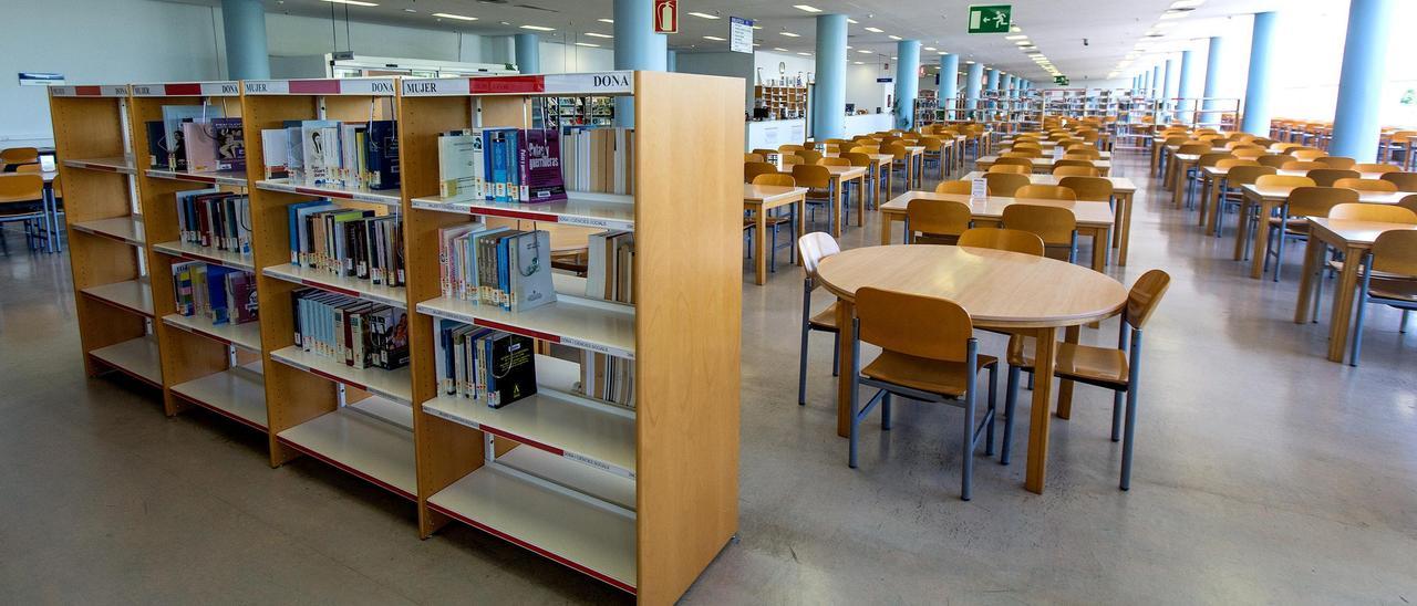 Una de las bibliotecas de la UA vacía.