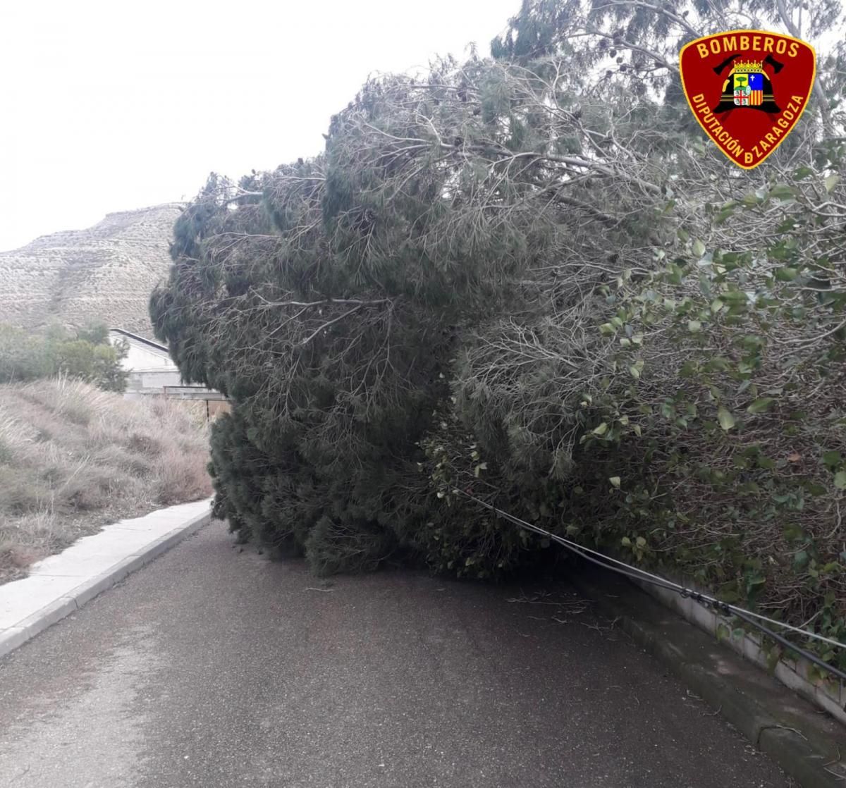 Daños causados por las fuertes rachas de viento registradas en Zaragoza por la borrasca 'Hortensia'