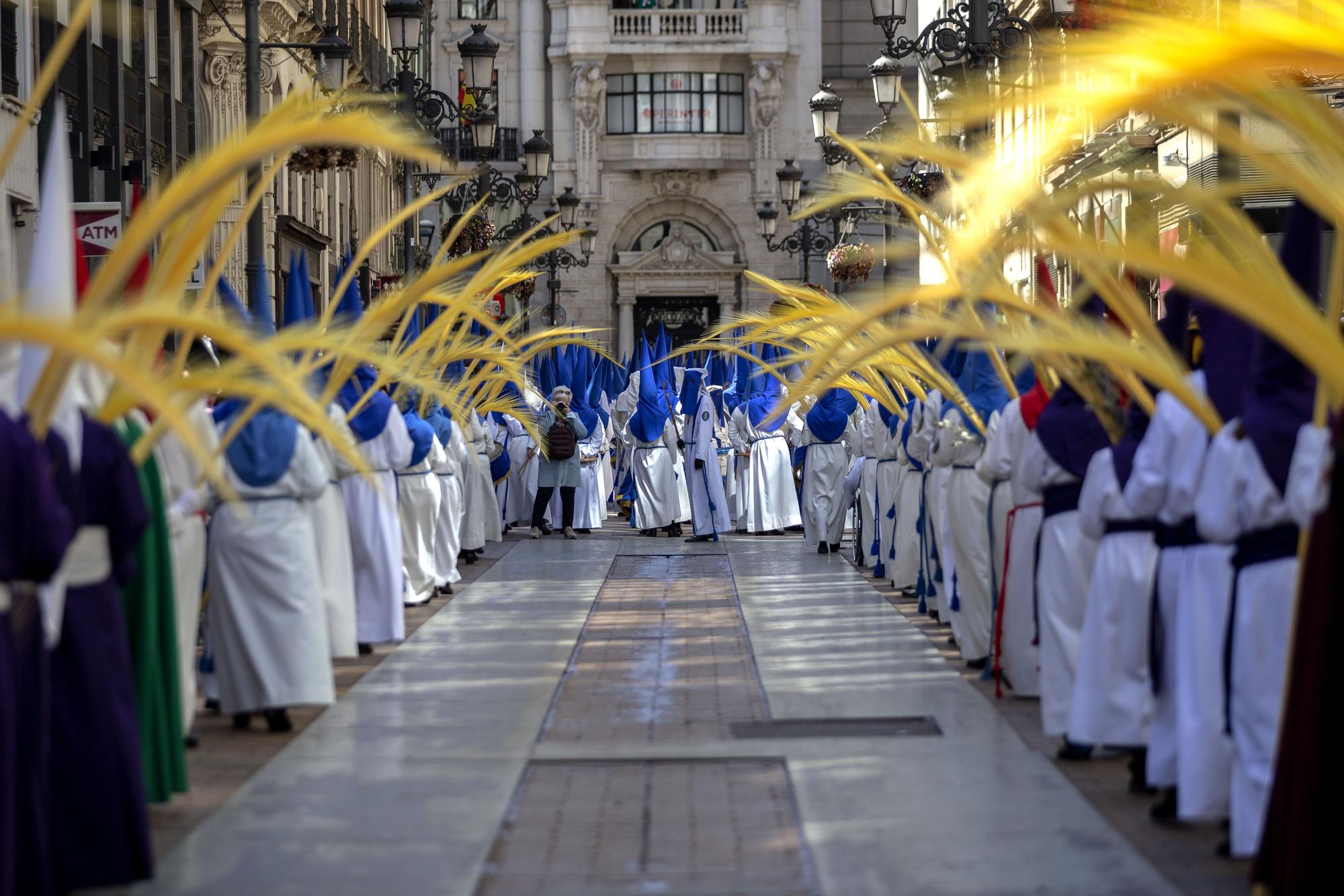 El Domingo de Ramos de Zaragoza, en imágenes