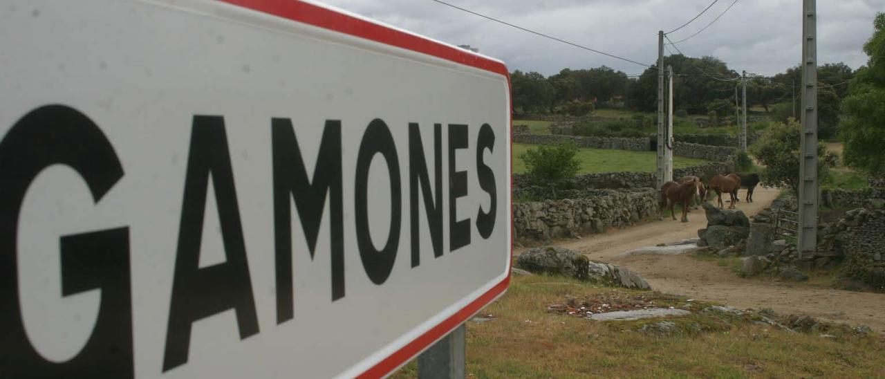 Señalización que indica la entrada al pueblo de Gamones