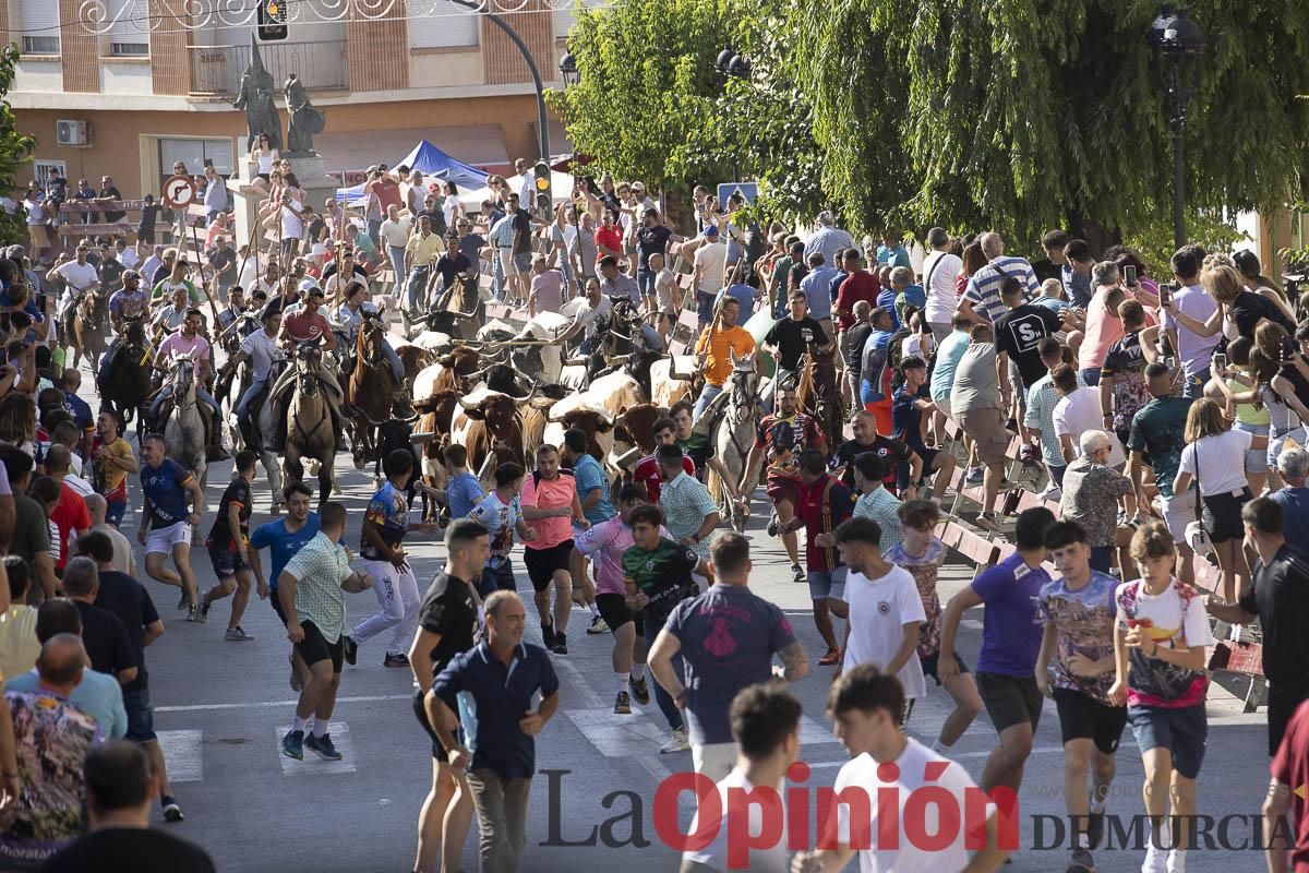 Séptimo encierro de las Fiestas de Moratalla