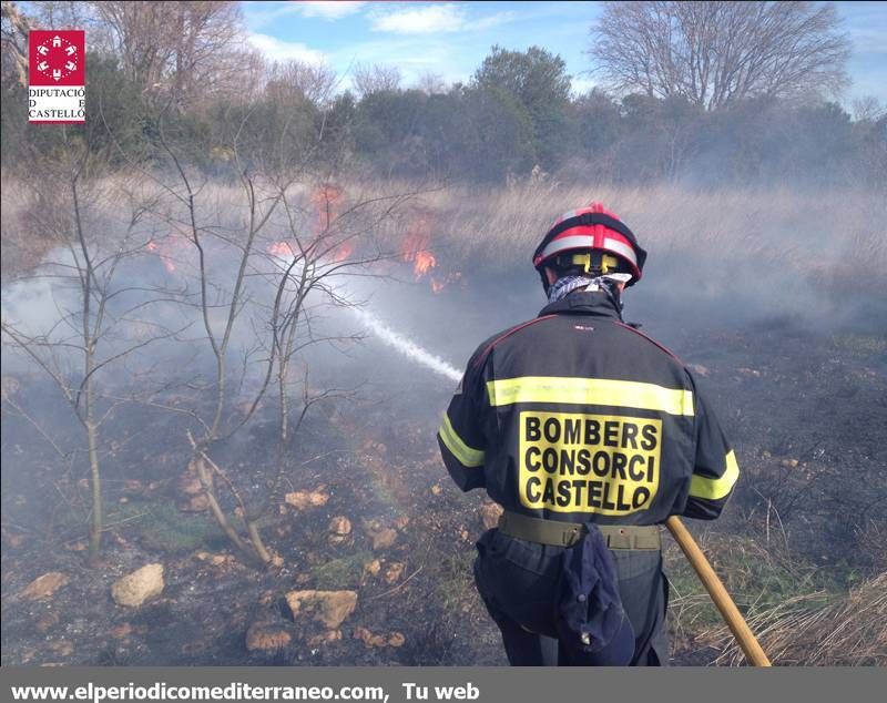 GALERÍA DE FOTOS -- Incendio en el Millars en Almassora