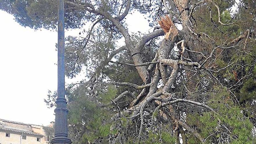 Luto en Sineu por la muerte de la apreciada Sor Trinitat