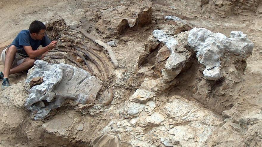 Descubren en Morella uno de los dinosaurios más grandes de Europa